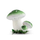 Ciuperca Decor Gradina - 6 cm