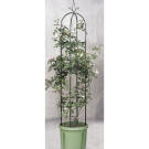 Arcada Trandafiri - 197 x 40 cm - Verde Inchis