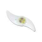 Lampa LED pentru Spita de Bicicleta - Esperanza Asterion EOT006