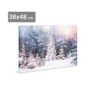 Tablou cu LED - Peisaj de Iarna - 2 x AA, 48 x 38 cm