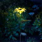 Lampa Solara cu Tarus - Floarea Soarelui - 75 cm - 8 LED Alb Cald