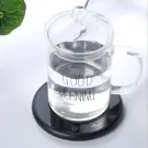 Incalzitor Electric pentru Cani - cu Control al Temperaturii