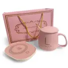 Set Incalzitor Electric pentru Cani, Cana Ceramica, Capac si Lingura