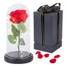 Trandafir Etern cu Iluminare LED - In Cupola de Sticla + Cutie Cadou