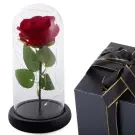 Trandafir Etern cu Iluminare LED - In Cupola de Sticla + Cutie Cadou