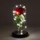 Trandafir Etern cu Iluminare LED - In Cupola de Sticla + Cutie Cadou