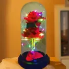 Trandafir Etern cu Iluminare LED - Rosu - 2 Trandafiri
