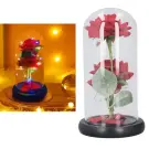 Trandafir Etern cu Iluminare LED - Rosu - 2 Trandafiri