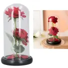 Trandafir Etern cu Iluminare LED - Rosu - 2 Trandafiri