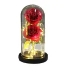 Trandafir Etern cu Iluminare LED - Rosu - 2 Trandafiri