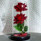 Trandafir Etern cu Iluminare LED - Rosu - 2 Trandafiri