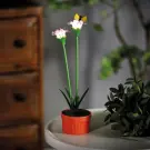 Lampă Solară Colorată cu Flori - Violet - 10 LED-uri Cald Alb - 8 x 8 x 32 cm