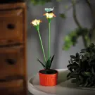 Lampă Solară Colorată cu Floare - Roșu - 10 LED-uri Albe Cald - 8 x 8 x 32 cm