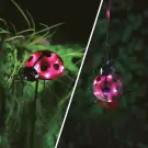 Lampă Solară în Formă de Gărgăriță - Cu Țăruș și Clește - Roșu - 15 x 7 x 16 cm - 6 LED-uri