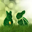 Decorație de Paște, Iepuraș Pluș Verde, 15 cm