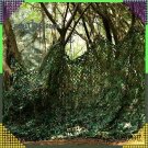 Terepszínű kerti háló - 3x3m