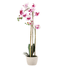 Floare artificială - Orchidă alb-roz - 70 cm