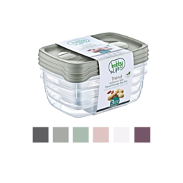 Set complet de 3 recipiente - Trend Box dreptunghiulare, 2L