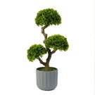 Műnövény dekoráció - bonsai - 55 x 27 cm