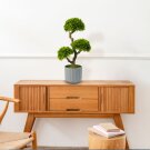 Műnövény dekoráció - bonsai - 55 x 27 cm