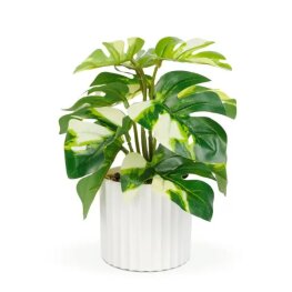 Műnövény dekoráció - filodendron - zöld/sárga - 20 x 8 cm