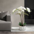 Műnövény dekoráció - orchidea - fehér - 58 cm