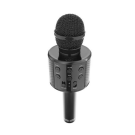 Microfon Karaoke Fara Fir